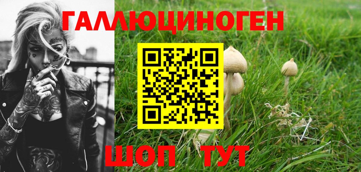 Галлюциногенные грибы MAGIC MUSHROOMS Джанкой