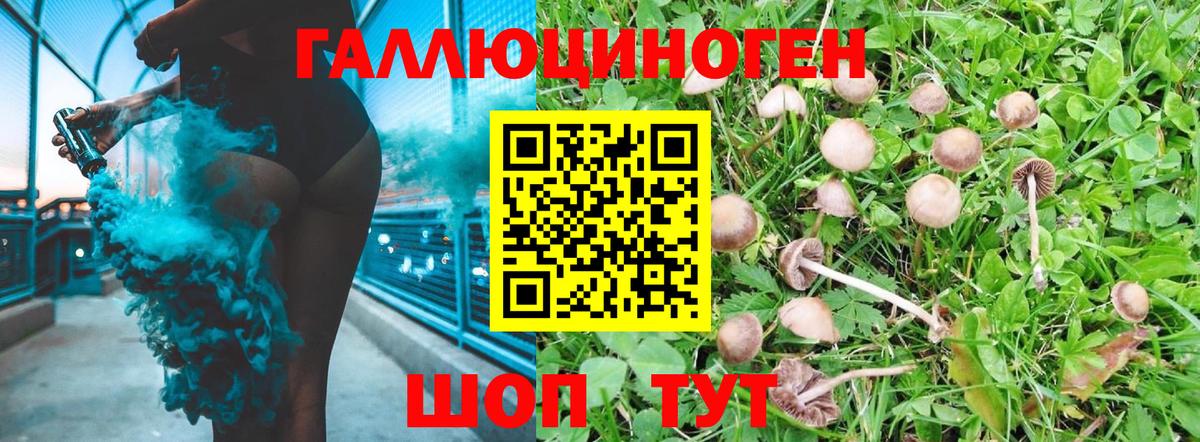 Джанкой  Галлюциногенные грибы Cubensis  Псилоцибиновые грибы Magic Shrooms  Вход с VPN 